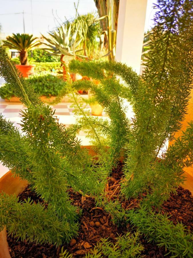 Villa Felice Marzamemi Bagian luar foto